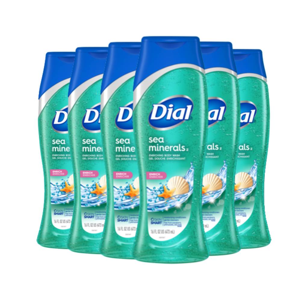 Dial Skin Therapy Enriching Body Wash, Sea Minerals 16 oz - 6 Pack