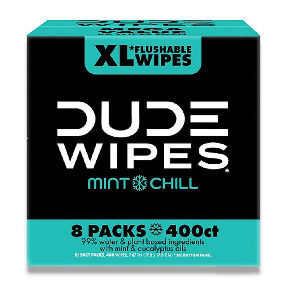 Dude Wipes - Wipes Flushable Wipes, Extra Large, Mint Chill Wipes (400 Ct)