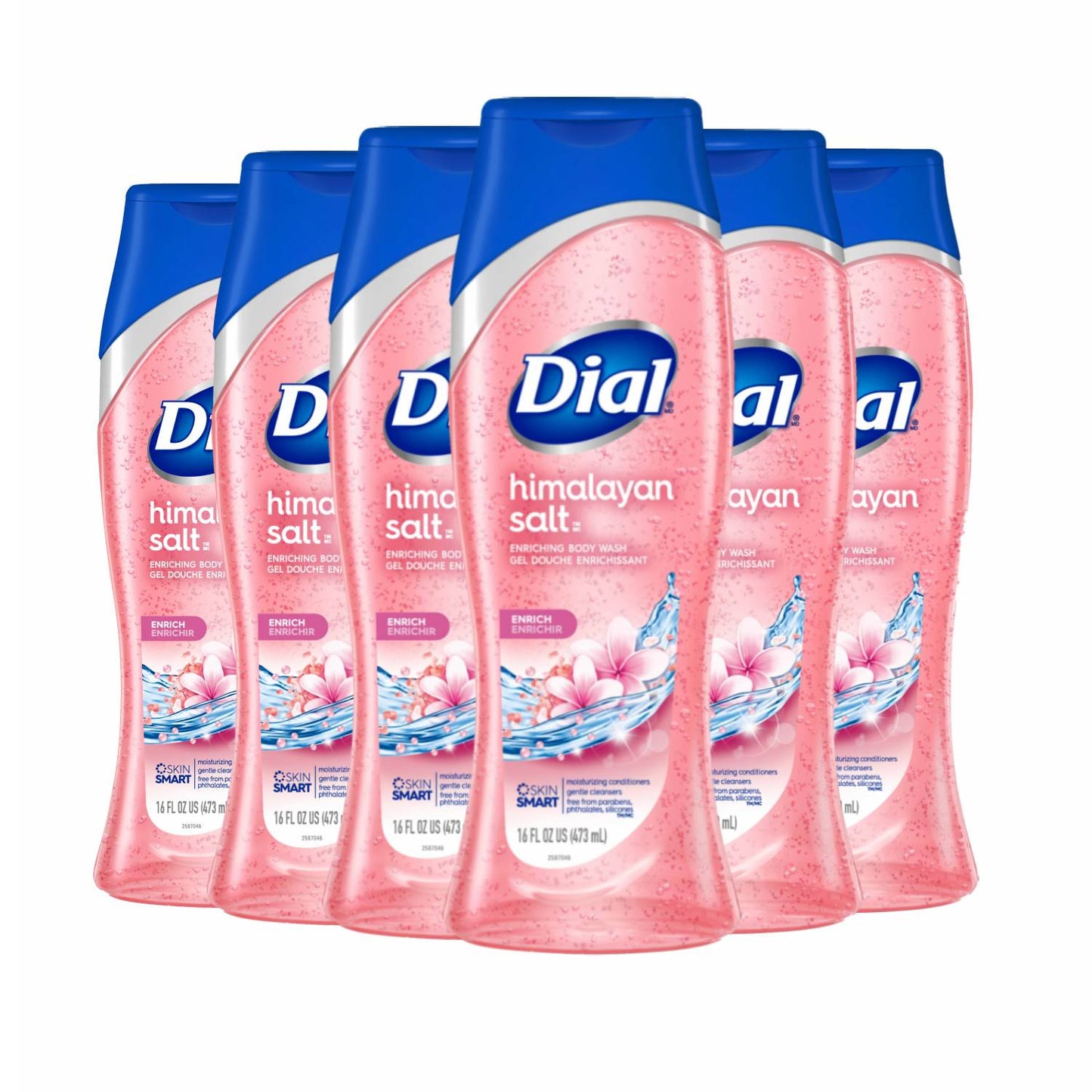 Dial Enriching Body Wash, Himalayan Salt 16 oz - 6 Pack
